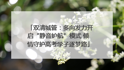双清城管：多向发力开启“静音护航”模式 倾情守护高考学子逐梦路