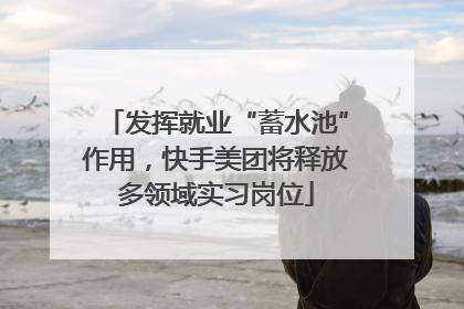 发挥就业“蓄水池”作用，快手美团将释放多领域实习岗位
