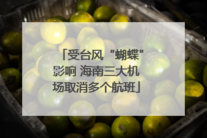 受台风“蝴蝶”影响 海南三大机场取消多个航班