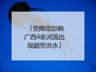 受降雨影响 广西4条河流出现超警洪水