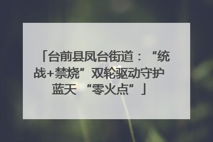 台前县凤台街道：“统战+禁烧”双轮驱动守护蓝天 “零火点”