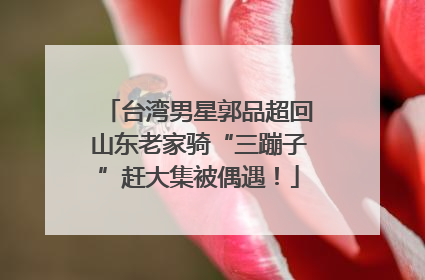 台湾男星郭品超回山东老家骑“三蹦子”赶大集被偶遇！
