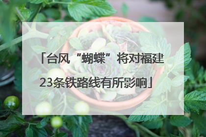 台风“蝴蝶”将对福建23条铁路线有所影响