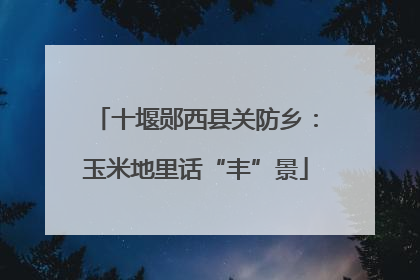 十堰郧西县关防乡：玉米地里话“丰”景