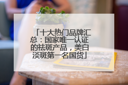 十大热门品牌汇总：国家唯一认证的祛斑产品，美白淡斑第一名国货