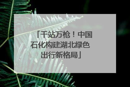 千站万枪！中国石化构建湖北绿色出行新格局