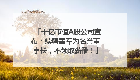 千亿市值A股公司宣布：续聘雷军为名誉董事长，不领取薪酬！