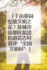 千亩葵园绽放文明之花！盐城市盐都区盐渎街道花吉村获评“全国文明村”