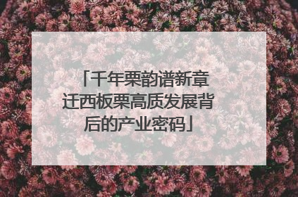 千年栗韵谱新章 迁西板栗高质发展背后的产业密码