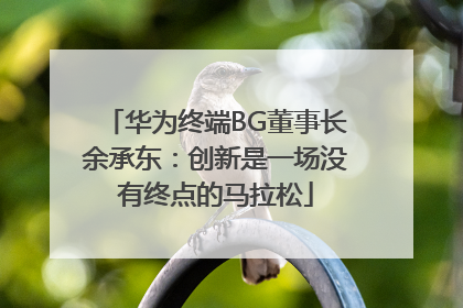 华为终端BG董事长余承东：创新是一场没有终点的马拉松