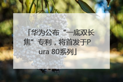 华为公布“一底双长焦”专利，将首发于Pura 80系列
