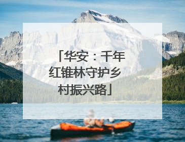华安：千年红锥林守护乡村振兴路