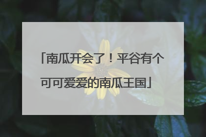 南瓜开会了！平谷有个可可爱爱的南瓜王国