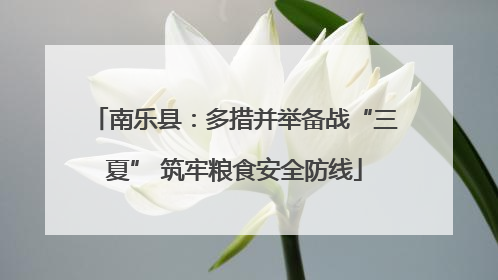 南乐县：多措并举备战“三夏” 筑牢粮食安全防线