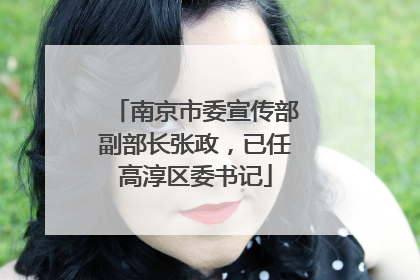 南京市委宣传部副部长张政，已任高淳区委书记
