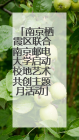 南京栖霞区联合南京邮电大学启动校地艺术共创主题月活动