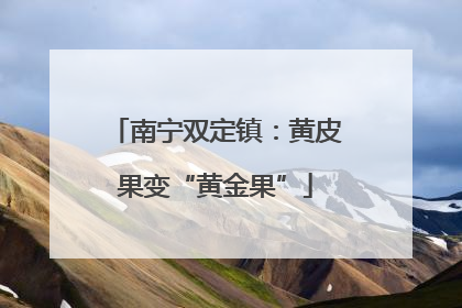 南宁双定镇：黄皮果变“黄金果”