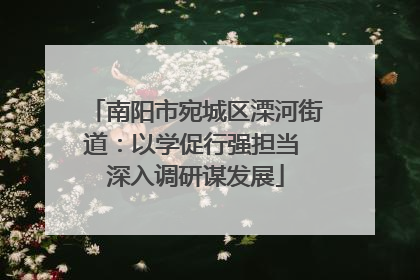 南阳市宛城区溧河街道：以学促行强担当 深入调研谋发展