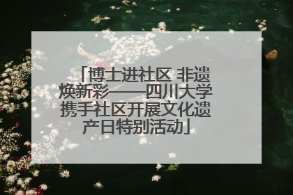 博士进社区 非遗焕新彩——四川大学携手社区开展文化遗产日特别活动
