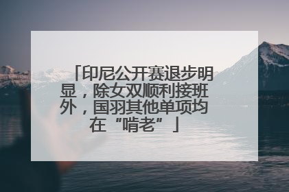 印尼公开赛退步明显，除女双顺利接班外，国羽其他单项均在“啃老”