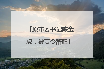 原市委书记陈金虎，被责令辞职