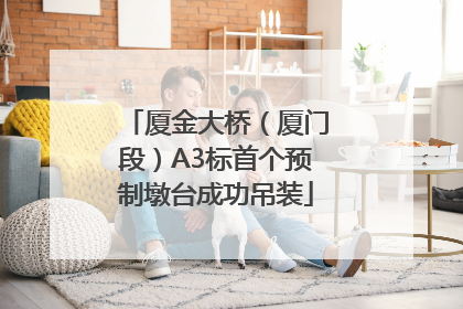 厦金大桥（厦门段）A3标首个预制墩台成功吊装
