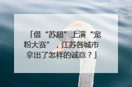 借“苏超”上演“宠粉大赛”，江苏各城市拿出了怎样的诚意？