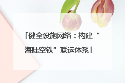 健全设施网络：构建“海陆空铁”联运体系