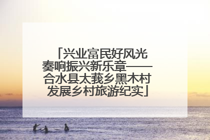 兴业富民好风光 奏响振兴新乐章——合水县太莪乡黑木村发展乡村旅游纪实