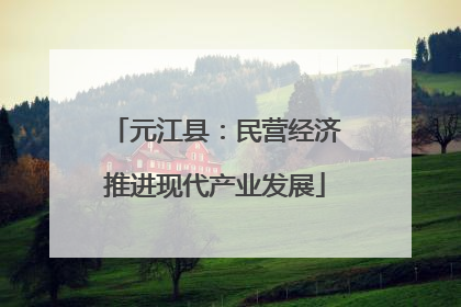 元江县：民营经济推进现代产业发展
