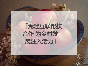 党建互联帮扶合作 为乡村发展注入活力