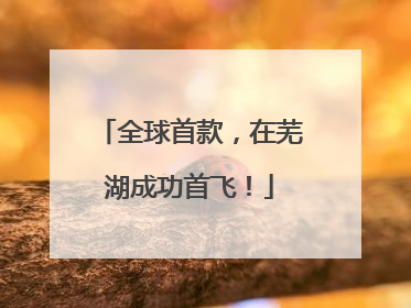 全球首款，在芜湖成功首飞！