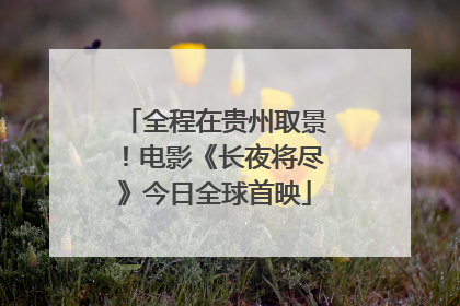 全程在贵州取景！电影《长夜将尽》今日全球首映