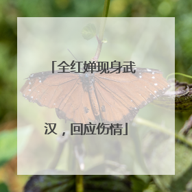 全红婵现身武汉，回应伤情