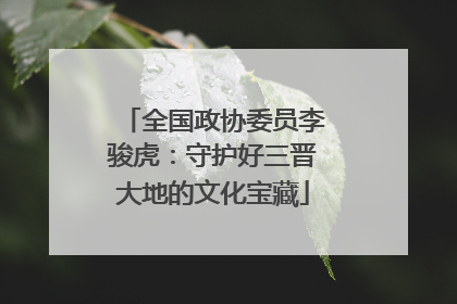 全国政协委员李骏虎：守护好三晋大地的文化宝藏