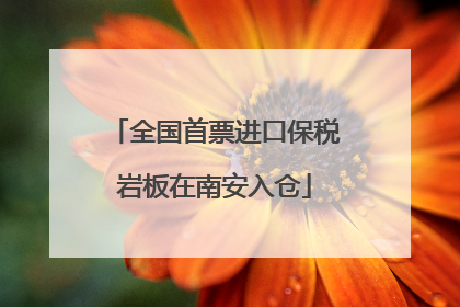全国首票进口保税岩板在南安入仓