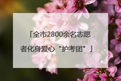 全市2800余名志愿者化身爱心“护考团”