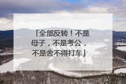 全部反转！不是母子，不是考公，不是舍不得打车