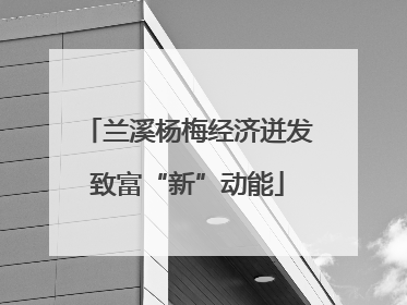 兰溪杨梅经济迸发致富“新”动能