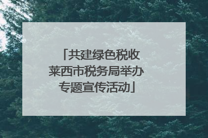 共建绿色税收 莱西市税务局举办专题宣传活动