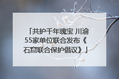 共护千年瑰宝 川渝55家单位联合发布《石窟联合保护倡议》