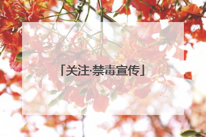 关注·禁毒宣传