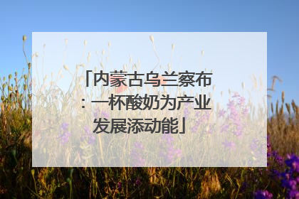 内蒙古乌兰察布：一杯酸奶为产业发展添动能
