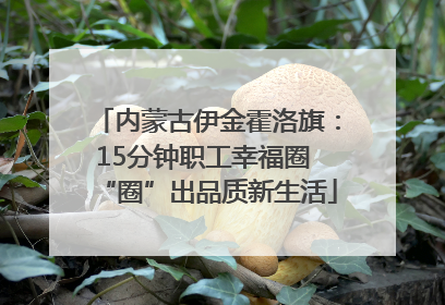 内蒙古伊金霍洛旗：15分钟职工幸福圈 “圈”出品质新生活