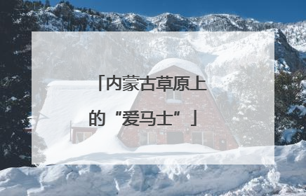 内蒙古草原上的“爱马士”