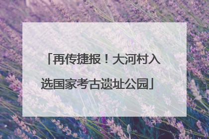 再传捷报！大河村入选国家考古遗址公园