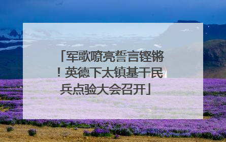 军歌嘹亮誓言铿锵！英德下太镇基干民兵点验大会召开