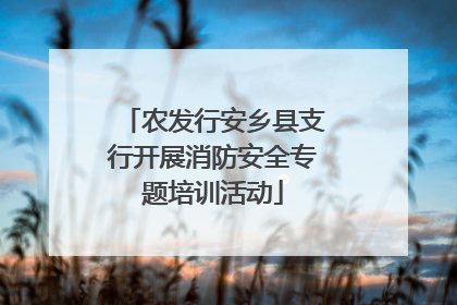 农发行安乡县支行开展消防安全专题培训活动