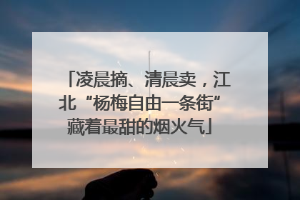 凌晨摘、清晨卖，江北“杨梅自由一条街”藏着最甜的烟火气