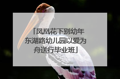 凤凰花下别幼年 东湖路幼儿园以爱为舟送行毕业班